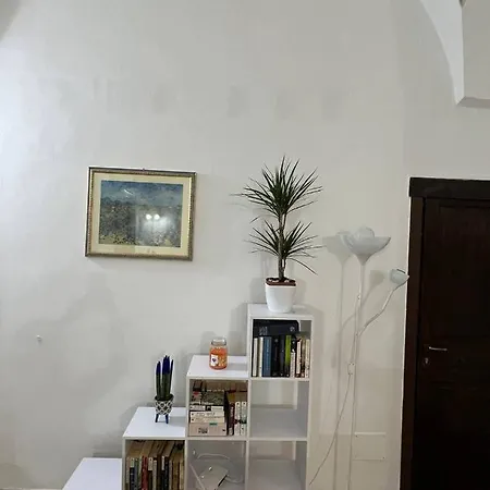 Nyaraló Momo A *
